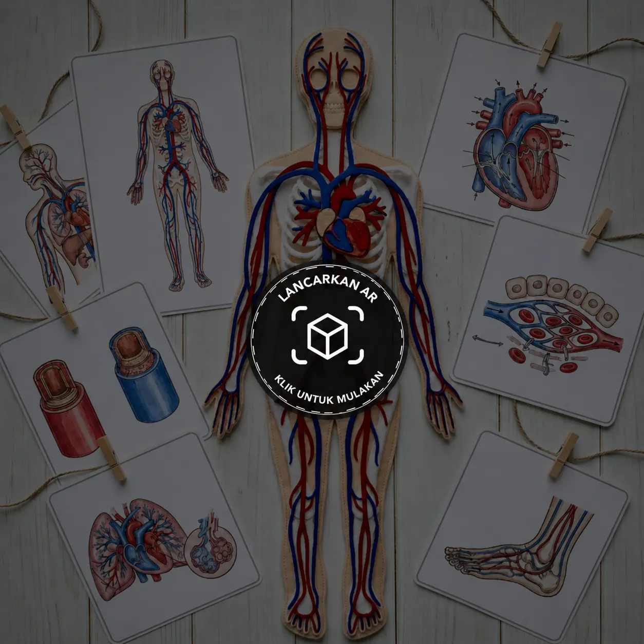Lancarkan WebAR Sistem Peredaran Darah Manusia